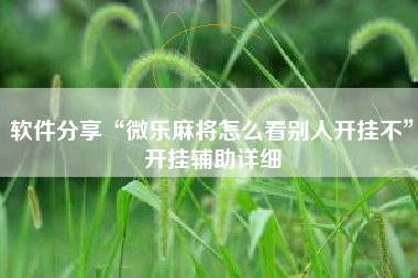 软件分享“微乐麻将怎么看别人开挂不”开挂辅助详细