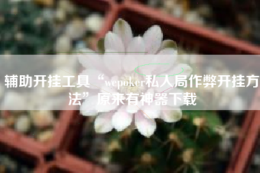 辅助开挂工具“wepoker私人局作弊开挂方法”原来有神器下载