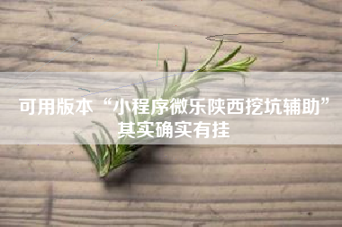 可用版本“小程序微乐陕西挖坑辅助	”其实确实有挂