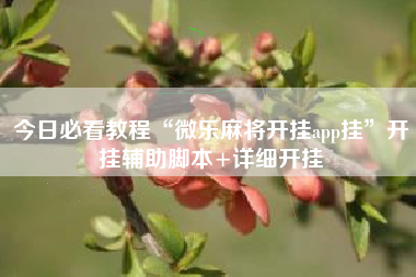 今日必看教程“微乐麻将开挂app挂”开挂辅助脚本+详细开挂