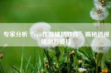 专家分析“wpk作弊辅助软件”揭秘透视辅助万能挂