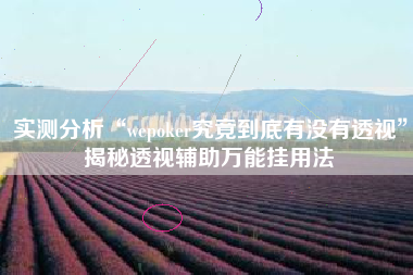 实测分析“wepoker究竟到底有没有透视	”揭秘透视辅助万能挂用法