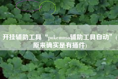 开挂辅助工具“pokemmo辅助工具自动”(原来确实是有插件)