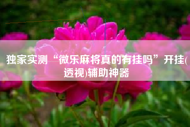 独家实测“微乐麻将真的有挂吗	”开挂(透视)辅助神器