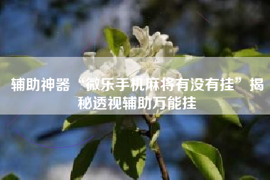 辅助神器“微乐手机麻将有没有挂	”揭秘透视辅助万能挂