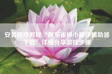 安装程序教程“微乐雀神小程序辅助器下载”详细分享装挂步骤