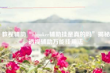 教程辅助“hhpoker辅助挂是真的吗”揭秘透视辅助万能挂用法