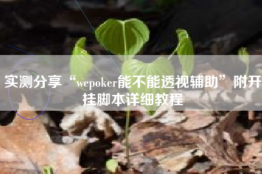 实测分享“wepoker能不能透视辅助	”附开挂脚本详细教程