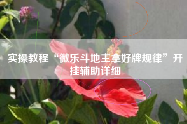 实操教程“微乐斗地主拿好牌规律	”开挂辅助详细