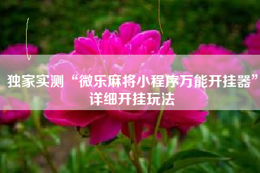 独家实测“微乐麻将小程序万能开挂器	”详细开挂玩法