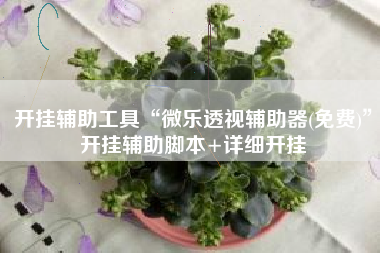 开挂辅助工具“微乐透视辅助器(免费)	”开挂辅助脚本+详细开挂
