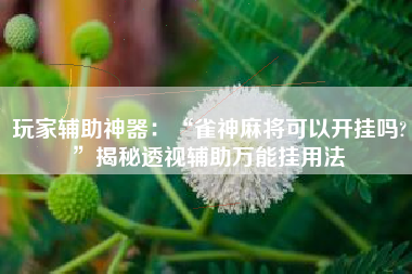 玩家辅助神器：“雀神麻将可以开挂吗?	”揭秘透视辅助万能挂用法