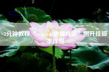 3分钟教程“wepoker透视方法”附开挂脚本详细