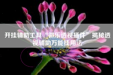 开挂辅助工具“微乐透视插件”揭秘透视辅助万能挂用法