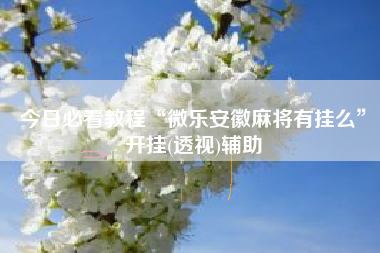 今日必看教程“微乐安徽麻将有挂么”开挂(透视)辅助