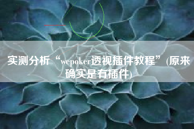 实测分析“wepoker透视插件教程	”(原来确实是有插件)