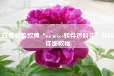玩家必看教程“wepoker软件透明挂”开挂详细教程