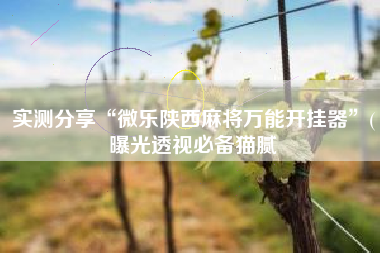 实测分享“微乐陕西麻将万能开挂器”(曝光透视必备猫腻