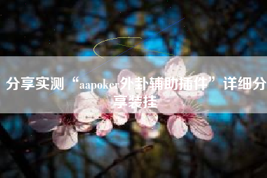 分享实测“aapoker外卦辅助插件”详细分享装挂