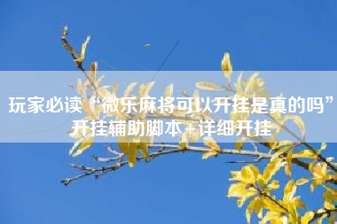 玩家必读“微乐麻将可以开挂是真的吗	”开挂辅助脚本+详细开挂