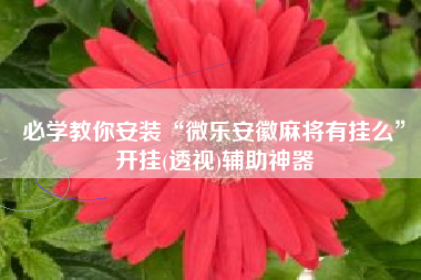 必学教你安装“微乐安徽麻将有挂么	”开挂(透视)辅助神器