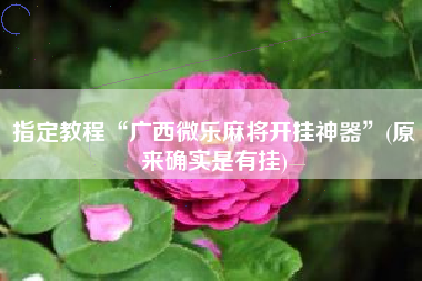 指定教程“广西微乐麻将开挂神器”(原来确实是有挂)