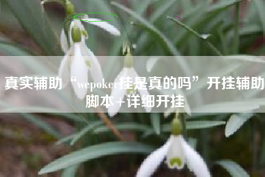 真实辅助“wepoker挂是真的吗”开挂辅助脚本+详细开挂