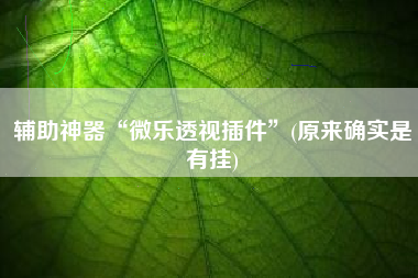 辅助神器“微乐透视插件	”(原来确实是有挂)