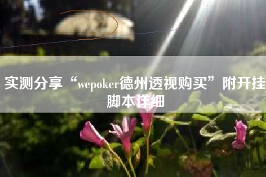实测分享“wepoker德州透视购买”附开挂脚本详细