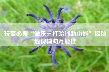 玩家必搜“微乐三打哈辅助功能”揭秘透视辅助万能挂