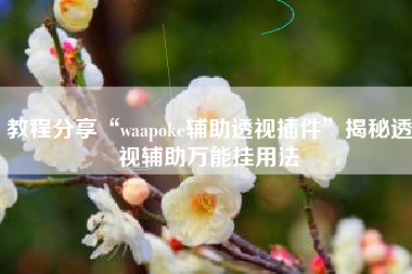 教程分享“waapoke辅助透视插件”揭秘透视辅助万能挂用法