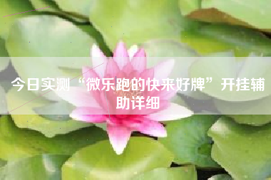 今日实测“微乐跑的快来好牌	”开挂辅助详细