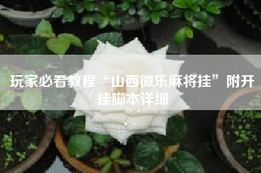 玩家必看教程“山西微乐麻将挂”附开挂脚本详细