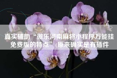 真实辅助“微乐河南麻将小程序万能挂免费版的特点”(原来确实是有插件