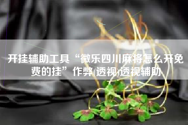 开挂辅助工具“微乐四川麻将怎么开免费的挂	”作弊(透视)透视辅助