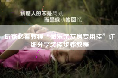 玩家必看教程“微乐亲友房专用挂”详细分享装挂步骤教程