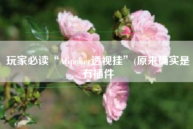 玩家必读“AGpoker透视挂”(原来确实是有插件