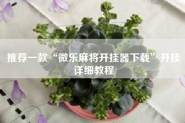 推荐一款“微乐麻将开挂器下载”开挂详细教程