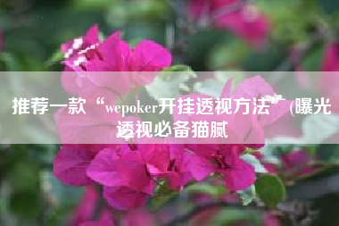 推荐一款“wepoker开挂透视方法”(曝光透视必备猫腻
