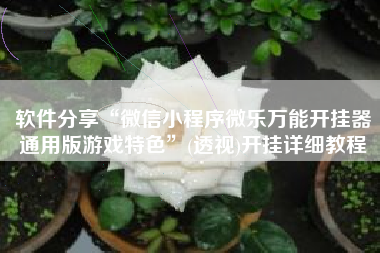 软件分享“微信小程序微乐万能开挂器通用版游戏特色	”(透视)开挂详细教程