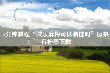 3分钟教程“微乐麻将可以装挂吗”原来有神器下载