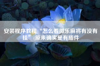安装程序教程“怎么看微乐麻将有没有挂	”(原来确实是有插件