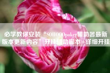 必学教你安装“SOHOOOpoker辅助器最新版本更新内容	”开挂辅助脚本+详细开挂