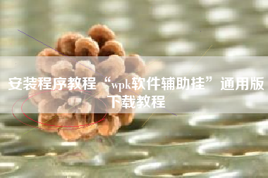 安装程序教程“wpk软件辅助挂”通用版下载教程