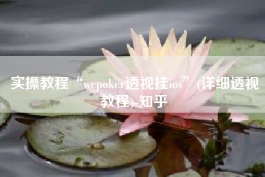 实操教程“wepoker透视挂ios”(详细透视教程)-知乎