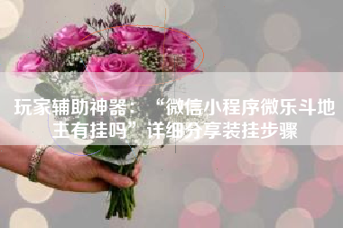 玩家辅助神器：“微信小程序微乐斗地主有挂吗”详细分享装挂步骤