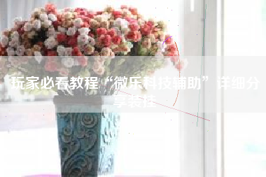 玩家必看教程“微乐科技辅助	”详细分享装挂