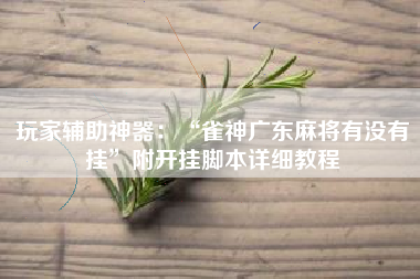 玩家辅助神器：“雀神广东麻将有没有挂”附开挂脚本详细教程