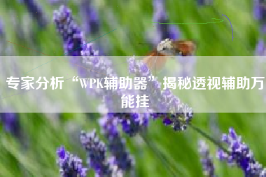 专家分析“WPK辅助器”揭秘透视辅助万能挂