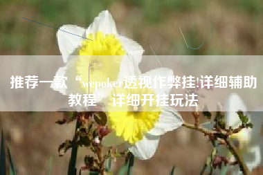 推荐一款“wepoker透视作弊挂!详细辅助教程	”详细开挂玩法